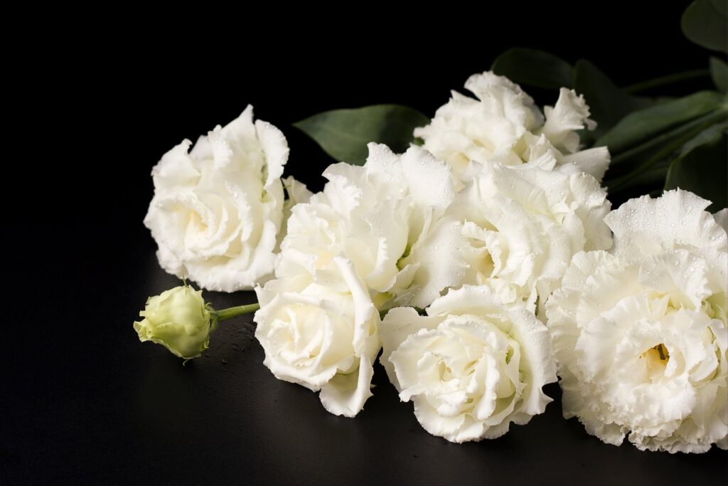 hautaus ilman arkkua